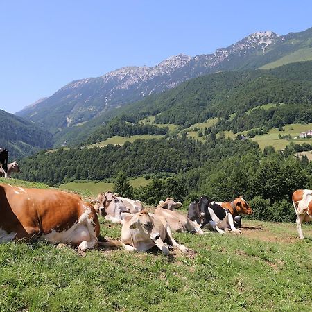 Albergo Alpino Da Tullio Avio Bagian luar foto