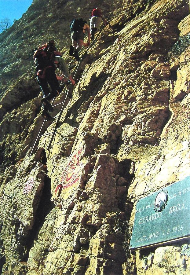 Albergo Alpino Da Tullio Avio Bagian luar foto